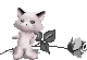 56